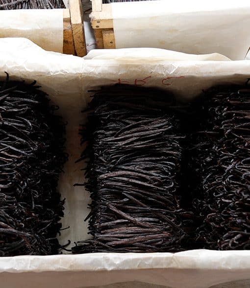 Caisse capitonnée d'affinage des gousses de vanille Planifolia à Madagascar Norohy