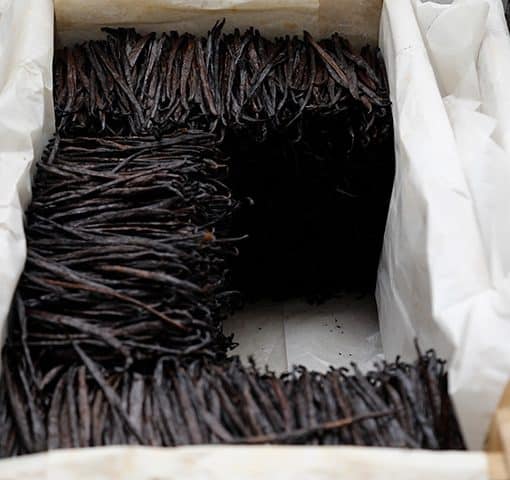Caisse d'affinage avec capiton paraffinée pour les gousses de vanille Planifolia à Madagascar Norohy