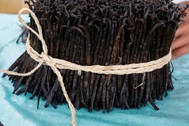 Affinage des gousses de vanille de Madagascar