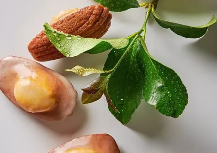 alliances-eau-fleur-oranger-recette