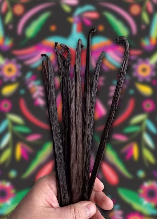 gousse de vanille mexicaine